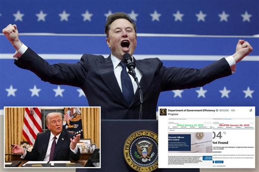 Elon Musk’s DOGE wasting no time  making DEI cuts: ‘It begins’