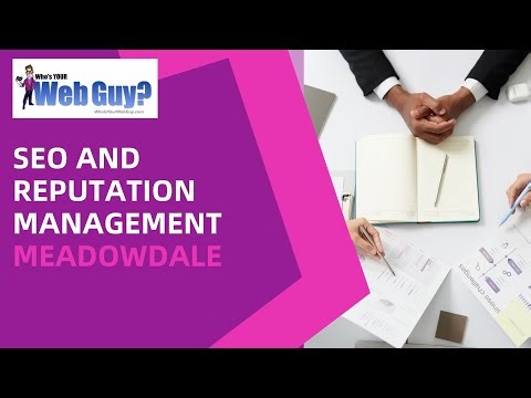 SEO and Reputation Management Meadowdale