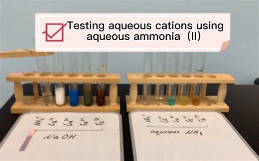 Testing aqueous cations using aqueous ammonia（II）