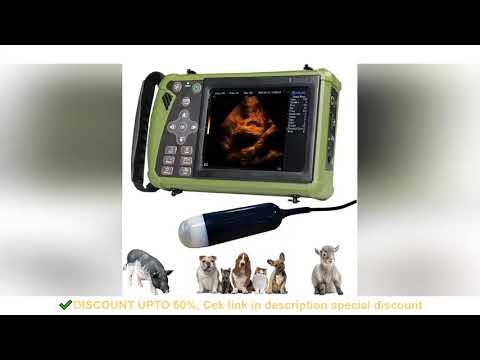 Portable Veterinary Ultrasound Scanner for Pregnancy Vet B Ultra Machine with 3.5MHz Convex Probe fo