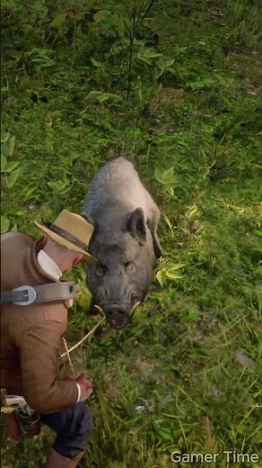 How to Get PERFECT Pelts in RDR2 Every Time