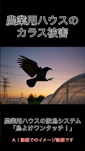 防鳥対策 簡単施工 カラス被害 鳥よけワンタッチ アンタック 農業用ハウスの防鳥システム