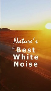 Escape to the Heart of a Desert Storm #sandstorm #windstorm #nature #whitenoise