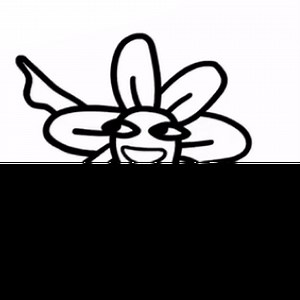 Welcome | COACH® Outlet