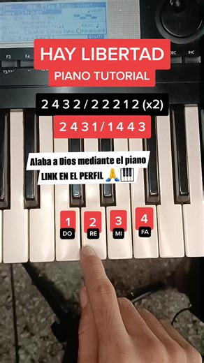 16K views · 456 reactions | Hay libertad - Piano Tutorial #Piano #tutorial #aprende #adoracion #worship #cristiano #cristiana #musica #iglesia #parati #foryou #Dios #Cristo #fyp #like #trend #viral #musica #cancion #haylibertad | Piano Professional | Facebook