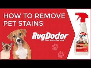 How to Remove Pet Stains | Rug Doctor