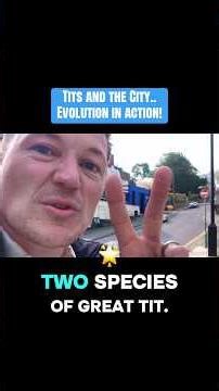 Evolution in front of us in the city! #wildtv #nature #animals #facts #wildlife #birds #wow #amazing