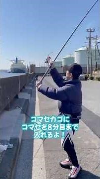 ぶっこみサビキ釣りを解説！竿は磯竿、エギングロッド、ルアーロッドで楽しめるよ！仕掛けは市販でOKだけど、サビキ針だけは釣り場に合わせて変えた方が爆釣するかも？ #釣り #サビキ釣り #fishing