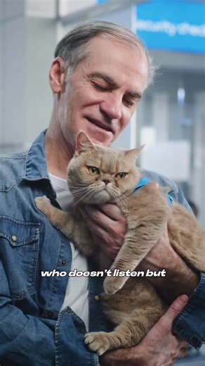 Decoding Cat Perception: How Your Cat Sees You (and Why it Matters!)