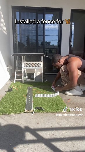 How to Install a Squirrel-Proof Fence for Your Property