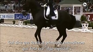 🔰 Totilas: ➡ Conocido desde 2006 hasta 2011 como Moorland Totilas y apodado "Toto", era un semental de raza KWPN, considerado uno de los mejores caballos de doma clásica en el mundo, siendo el primer caballo en tener una puntuación sobre 90% en una competición. Totilas fue montado durante la gran mayoría de su carrera internacional por Gal, bajo la bandera de Holanda. Gal empezó a trabajarlo en 2006 y comenzó a competir en 2008. Gal dice que desde el principio entendieron que Toto era "algo esp