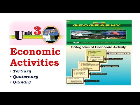 Tertiary , quaternary and quinary economic activities‪@bridgeeducation4771‬