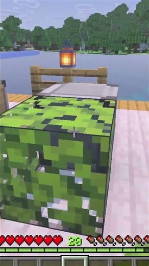 Minecraft Java VS Bedrock ( Autoriser / Refuser )