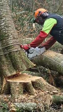 Hänger runterholen mit LANDI und Frontwinde