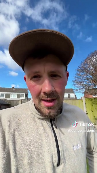 The Best Lawn Mower: Honda HRH 536 Pro Review