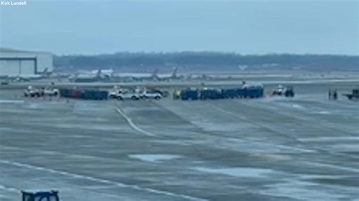 American Airlines employee fatally struck by airport ramp vehicle