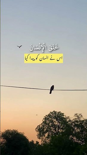 Surah Ar-Rahman (1–7)Recitation: Saad Al-Ghamdi (Public Domain)Source: Internet Archive #quran