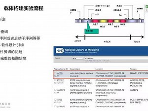 如何使用genbank获取核酸序列