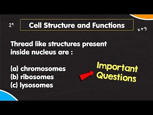 NCERT/CBSE : Class 8 Science - Chapter 8 Cell Structure and Functions MCQ questions with answers