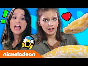 Annie LeBlanc & Jayden Bartels Wrestle a Giant Snake! 🐍 Expert Attempters: Ep. 1 | Nick