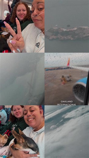 Cali you owe us nothing….. Leaving was hard but ending 2025 with family, love, and memories #Priceless #BayArea #WeOut #airplaneview #california