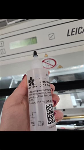 Natella Baliaouri on Instagram: "Cryosectioning! This technique is used to create very thin slices of tissue to be labelled using antibodies to target specific molecules and proteins, and then using fluorescent antibodies to show where the molecules of interest are located in our cells. We use a medium that is hard when cold (-20 Celsius) so we can put our tissue inside of it and then slice it using a very sharp cold blade. Check out the tools we use to prepare our samples for visualization! #sc