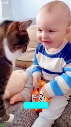 Grumpy Cat fails a trick - Cat Channel 😹 Pure Joy!
