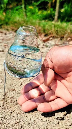 Survival Skills: Fire Using Water & a Light Bulb 💡🔥#bushcraft #survival #outdoors #camping