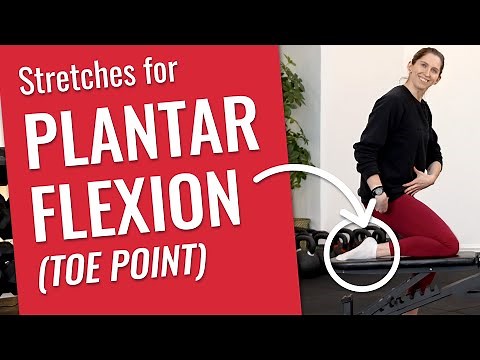 Great Stretches for Plantar Flexion! (Beginner Friendly!)