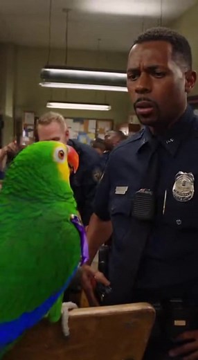 134K views · 3.5K reactions | Parrot vs Cop  #funny #parrot | Tara Hughes | Facebook