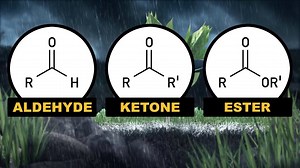 17K views · 327 reactions | April showers bring May flowers! Here's what the famous after rain smell is. | Reactions | Facebook