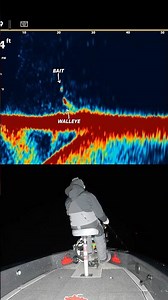 Catching walleye on MEGA Live 2 after dark?! COUNT US IN! 😎🤟 #Humminbird