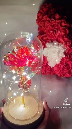 Sparkly Roses on Reels