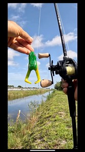 Pescando en canales urbanos | Pesca Con Chuy