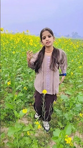 #toolkit #transform your home with these cool tool 🔥🔥🔥