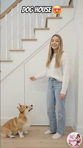 🐶🏠✨ Built a super cute dog house with built-in stairs!Smart design + cozy space = perfect pet home