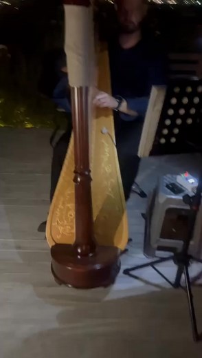 Snapshot of the song "Yesterday" from the Beatles :) | Harpist in Gauteng - Harp Allure
