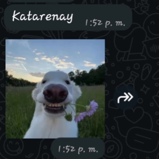 Diversión y Aburrimiento con Chuchito y Rawa