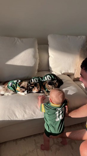 We waited 6 years for this moment #fyp #foryou #foryoupage | Chase Cats