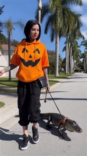 Halloween stroll with my gator 🐊 🎃 | Thegreatwave101
