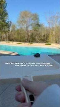 Realtor POV: Ribbit Ribbit 🐸