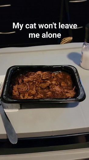 27K views · 181 reactions | My monitor lizard tried to steal my food. #wildlife #reptiles #monitorlizard #lizard #gecko #komodo #raptor #dinner #cooking | Joey Josselson | Facebook