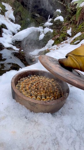 61M views · 872K reactions | Iconic Anchovy Dish with The Nikos Knife anyone?!  #cooking #fish #recipe #outdoorcooking #nature #asmr | The Nikos Knife | Facebook