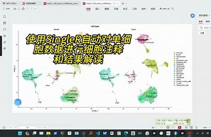 使用SingleR自动对单细胞数据进行细胞注释和结果解读_哔哩哔哩_bilibili