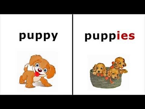 How to form the plural in English