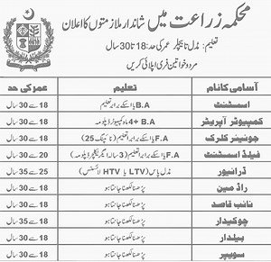 Agriculture Department Jobs #todayjobs #onlinejobs #latestjobs #newjobs #hiringnow #govtjobs #AgricultureJobs | Latest Jobs 2025