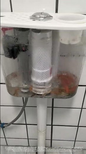 Toilet tank with ornamental function