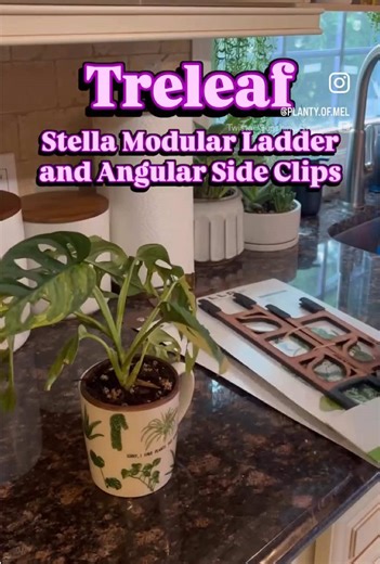 ✨Meet the Stella modular ladder support with angular side clips for style and versatility ✨ @Treleaf gifted me the Stella and her clips to try out, and they did not disappoint. Not only does it look (and smell) great, but with the angular clips and modular design, I can create a taller and wider trellis to grow with my plant. My monstera adansonii aurea was getting a bit floppy 😅, so the Stella provided the perfect support! Use code “plantyofmel” to save 10% on your order - link in bio! 🪜 Chec
