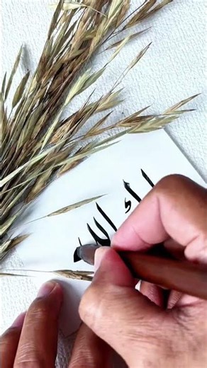Barakallah Naskh script #calligraphy #arabic #subscribe