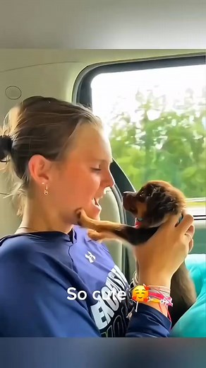 154K views · 3.1K reactions | So cute ❣️  dog photography dog...